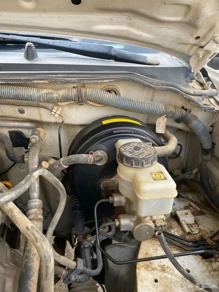 البيع نفار مديل12 ماشي 300 وشوي 7