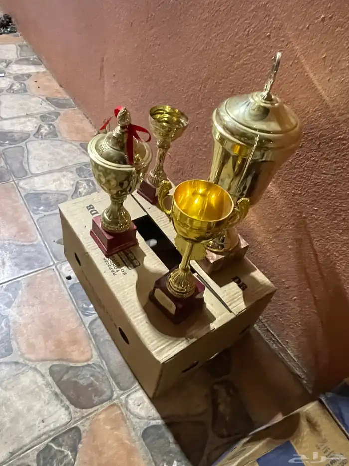 كوؤس بطولة جديدة 2