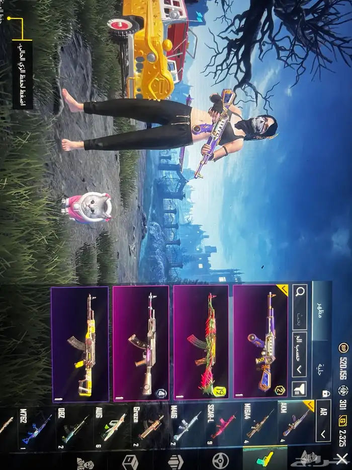 حساب ببجي للبيع 17