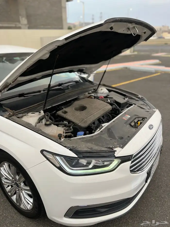 فورس تورس 2022 ابيض مخزن 40