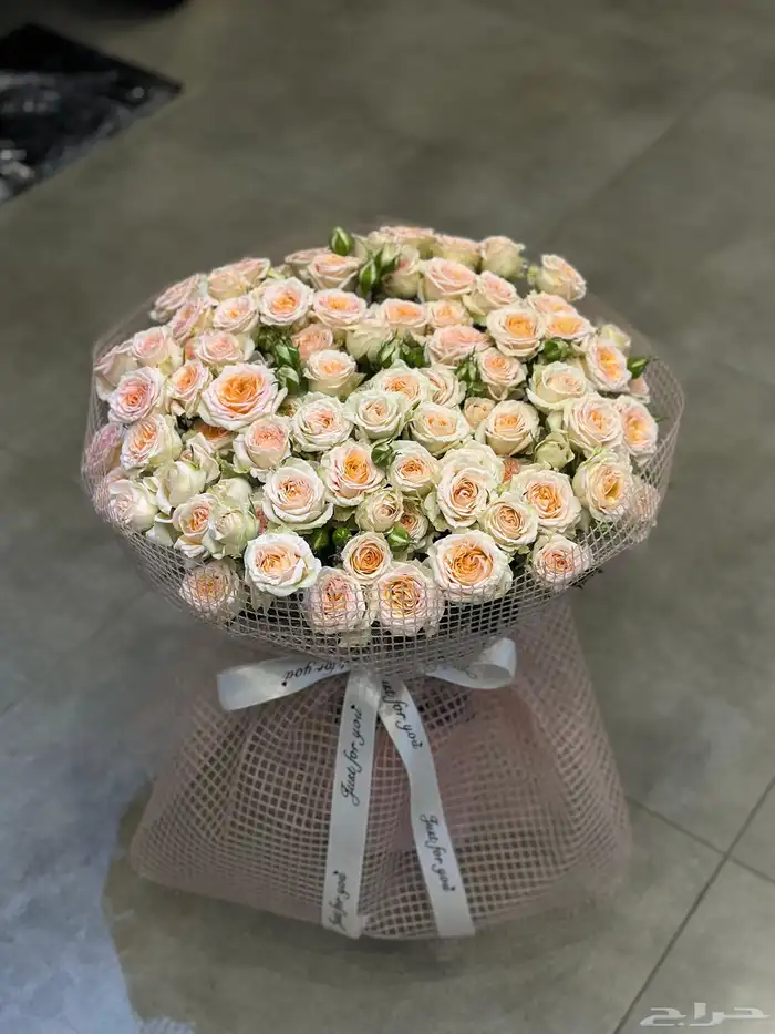 مندوب ورد الجبيل الصناعيه 3