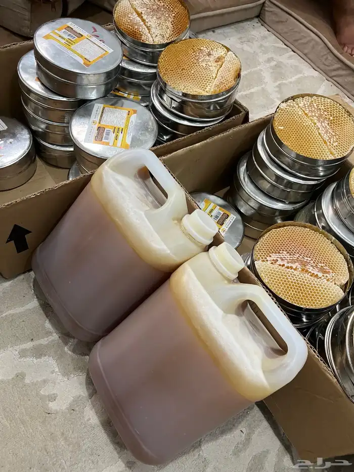 عسل سدر شبواني 4