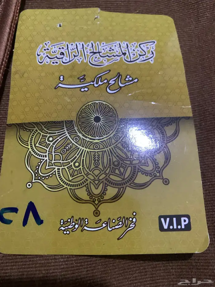 بشت وبر جديد 1