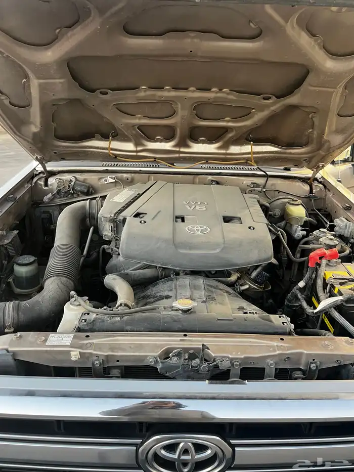 شاص 2014 فل كامل مخزن ذهبي فطيمي 14