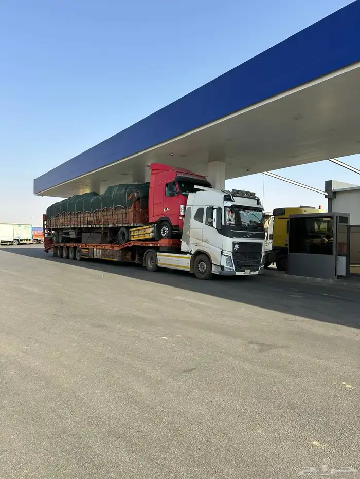 لوبد متواجد في الرياض 0