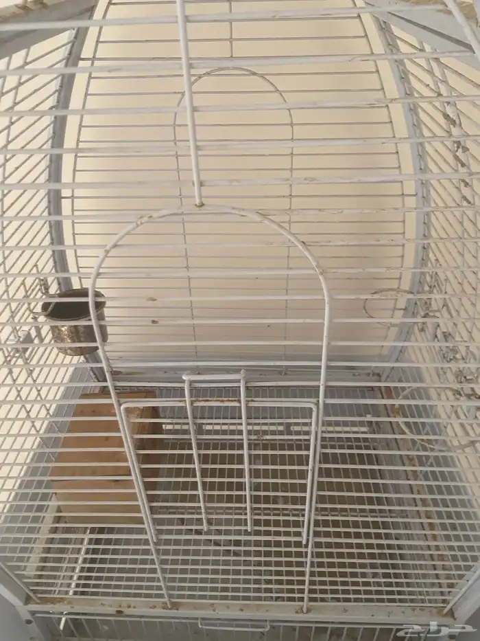 قفص بغبغاء كبير للبيع 1