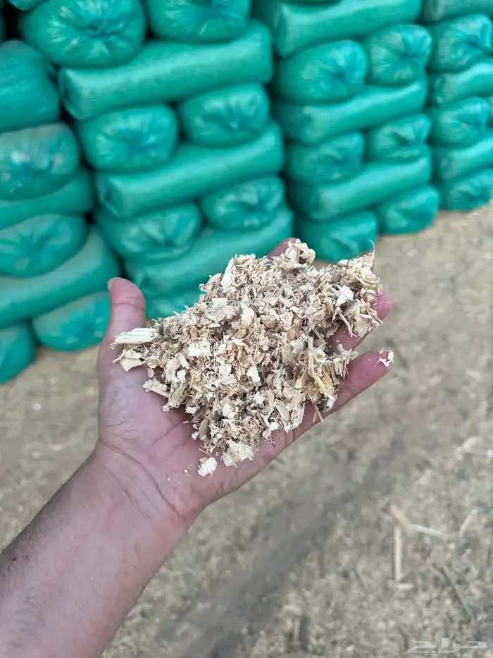 نشارة دواجن وخيل 1