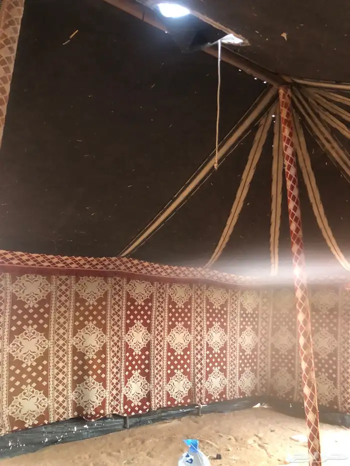 بينت مستخدم 6 في   14 تقريب ا 4