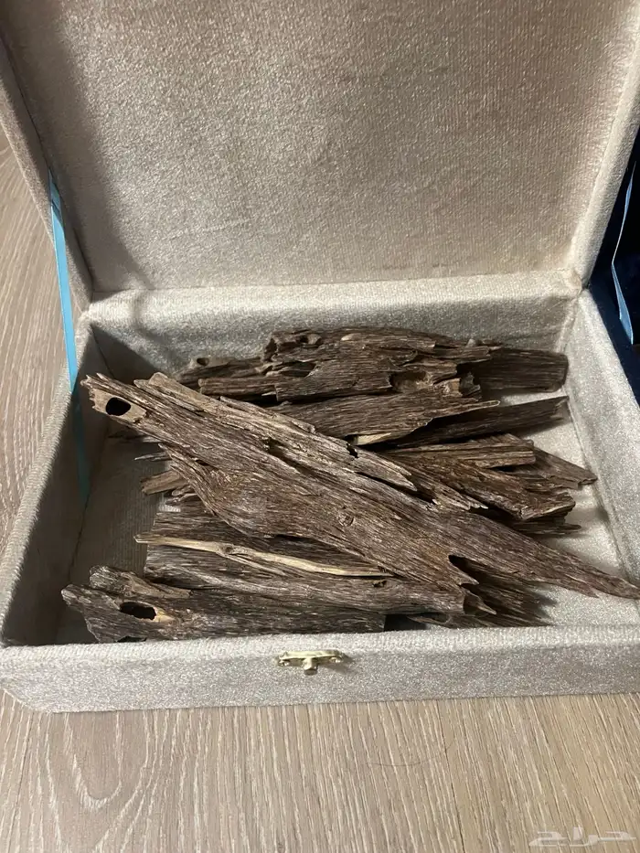 عود طبيعي هندي اسيوفي 1