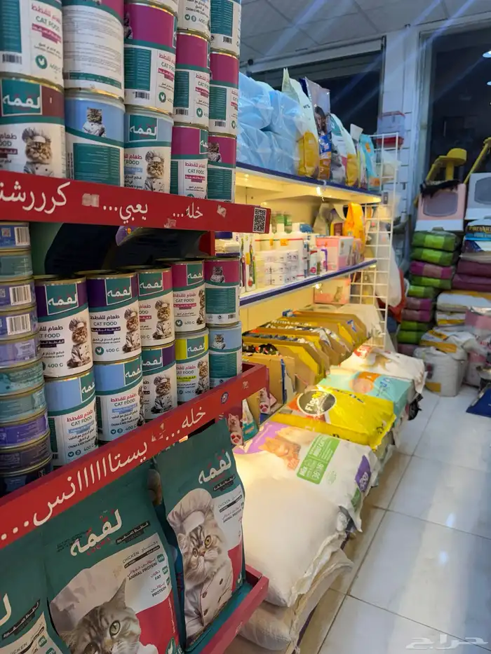 عصافير . قطط. حمام 5