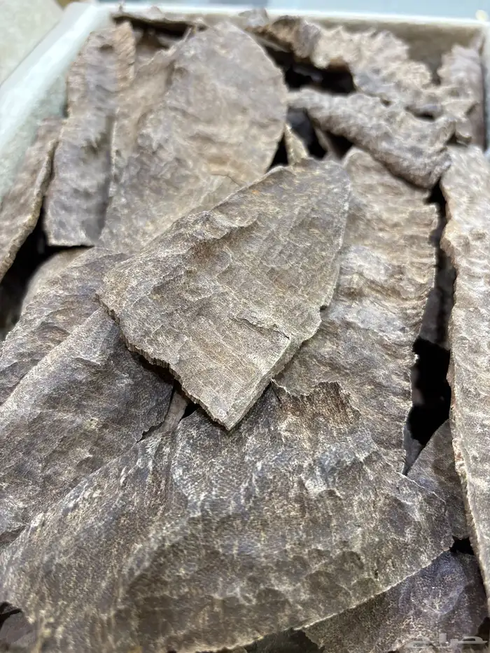 بخور وعود هندي جار 0