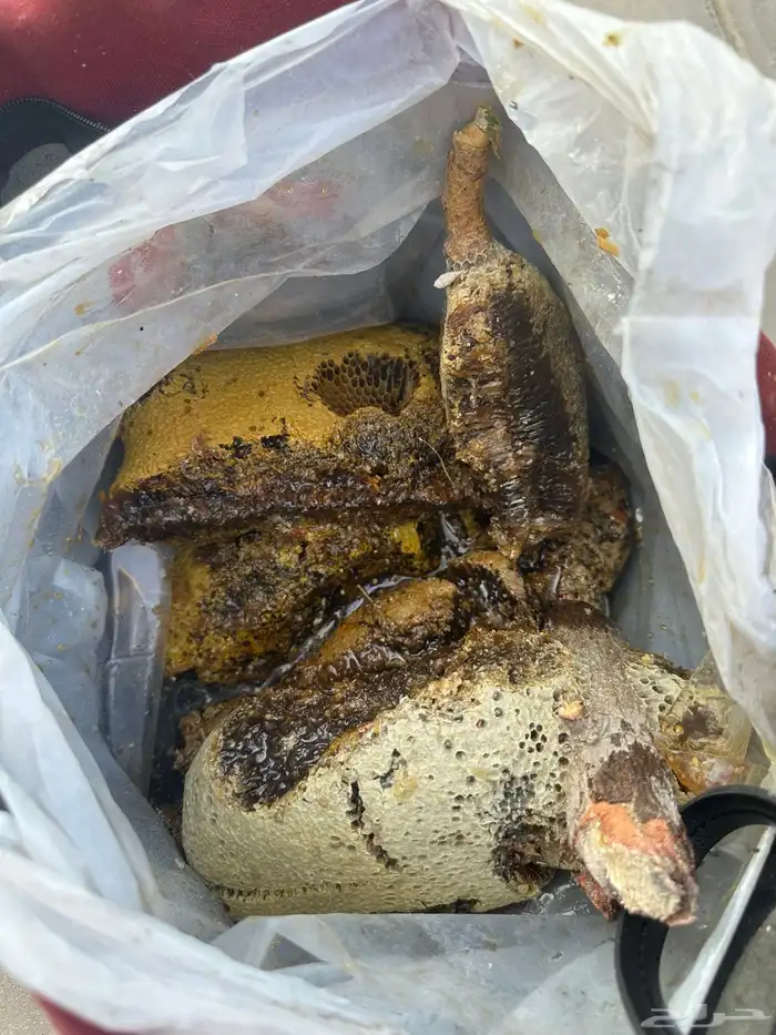 عسل أصلي 100 0