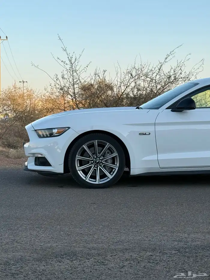 للبيع موستنج 2015 25