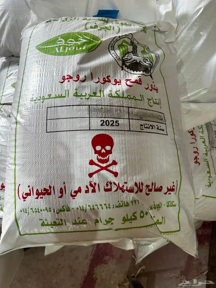 قمح يو كورا 50k 0