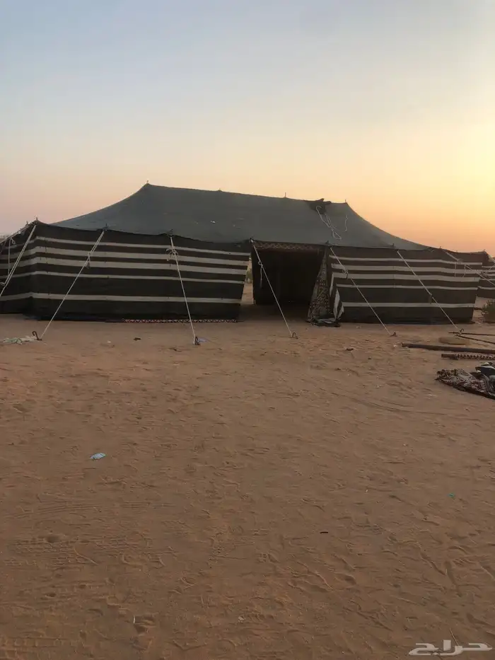 بينت مستخدم 6 في   14 تقريب ا 0