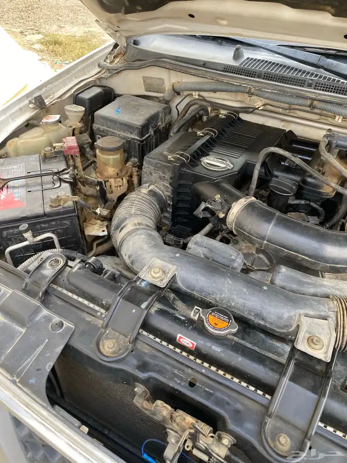 البيع نفار مديل12 ماشي 300 وشوي 5