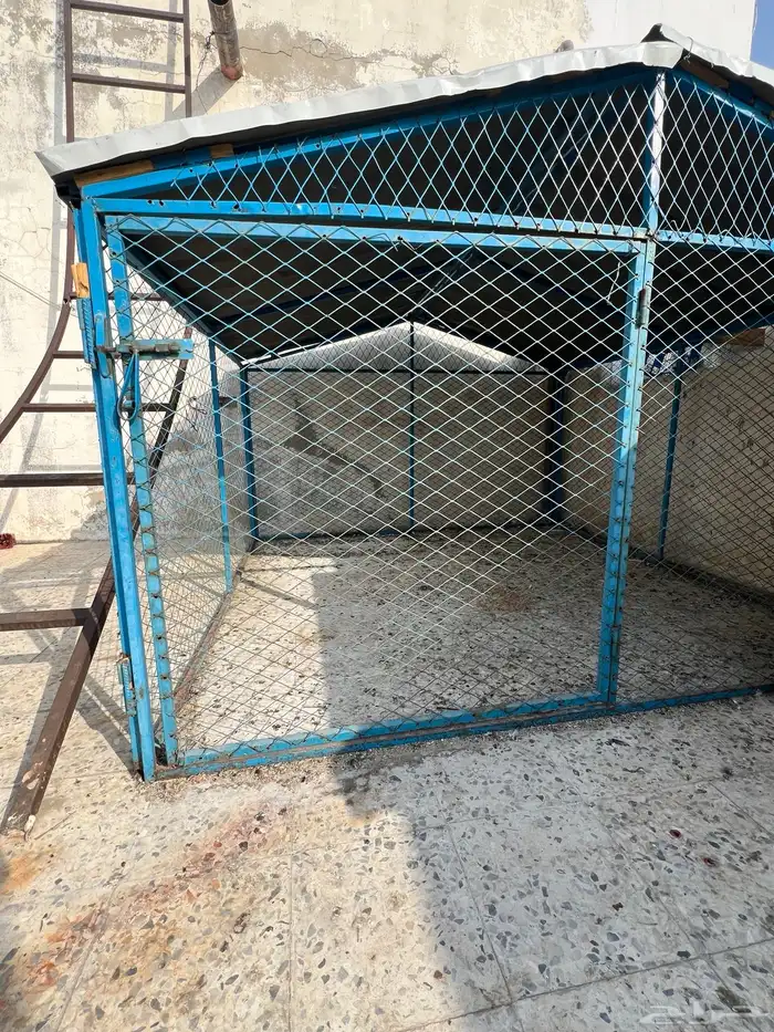 للبيع شبك للحمام 2