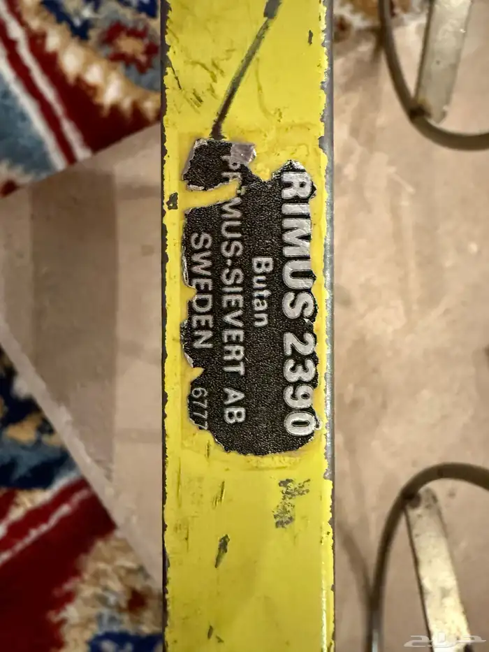 قز بريمس(عينين) 2