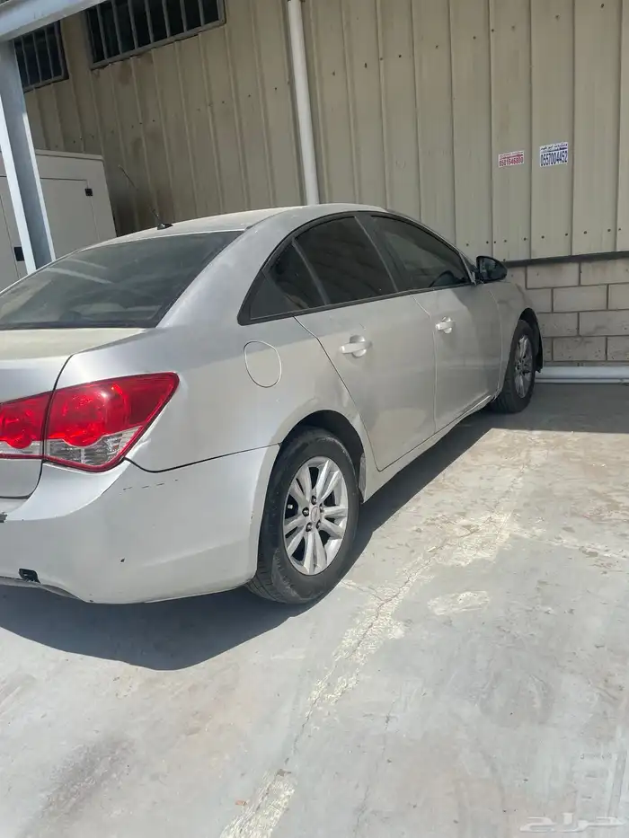 شفوراليه كروز 0