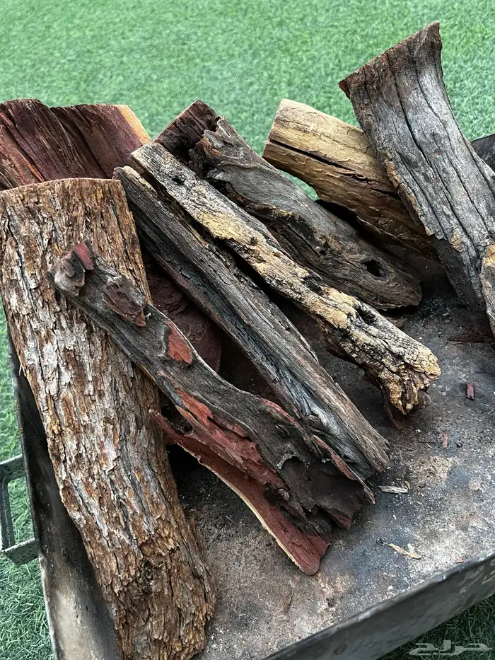 حطب سمر أفريقي أفريقي 5