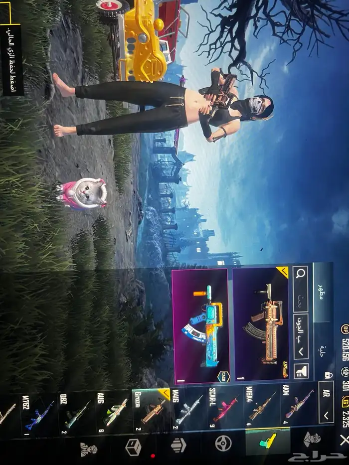 حساب ببجي للبيع 13