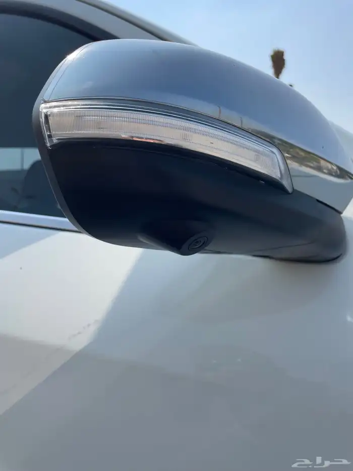 شانجان للتنازل بدون مقابل 13