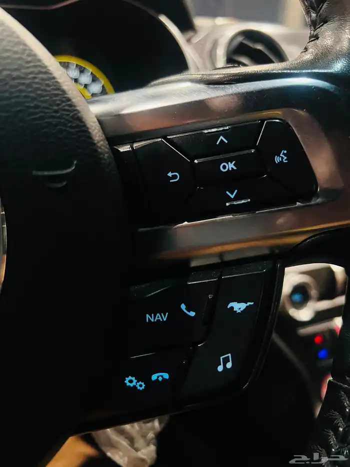 موستنج 2019 بيرفورمنس (بحاله ممتازه) 21