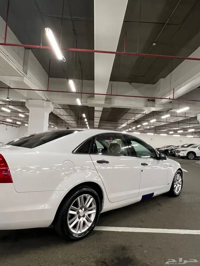 كابرس 2013 LS 6