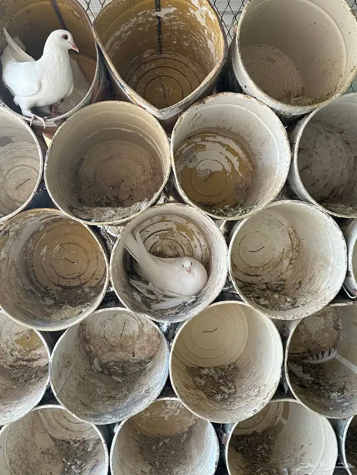 حمام فرنسي فاخر 4