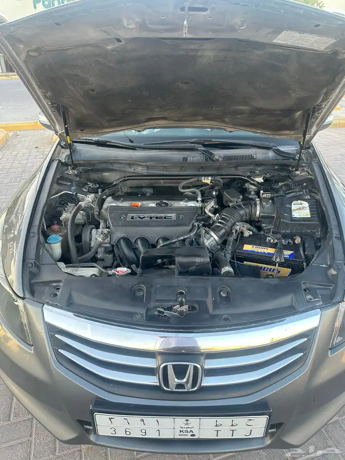 اكورد . ستاندر 8