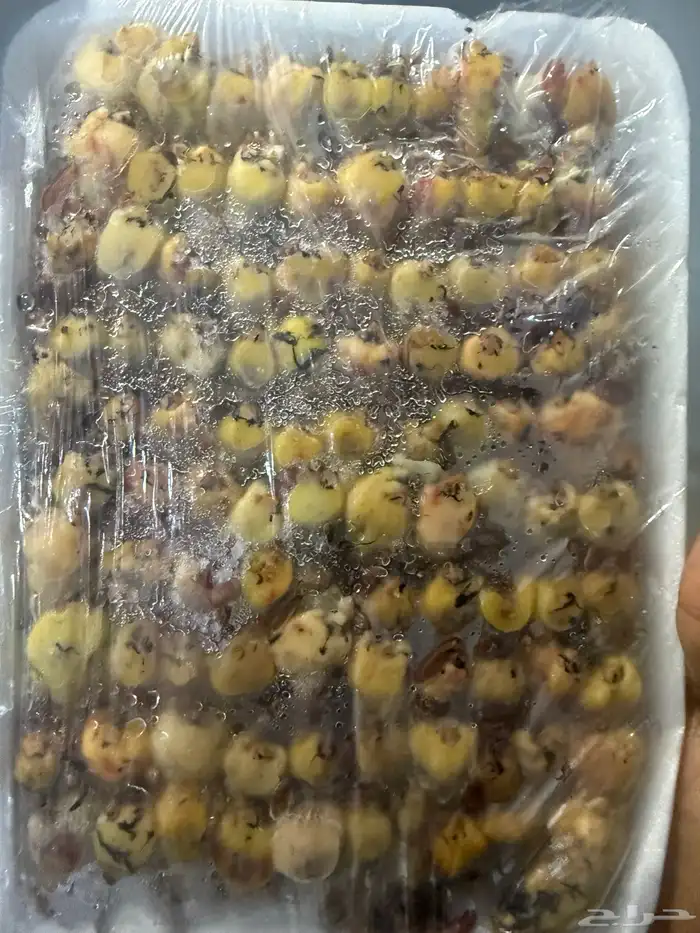 دخل حمام صيد 0