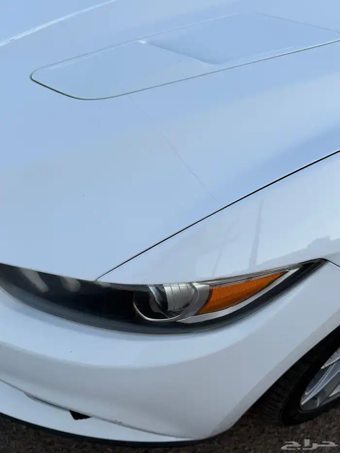 للبيع موستنج 2015 9