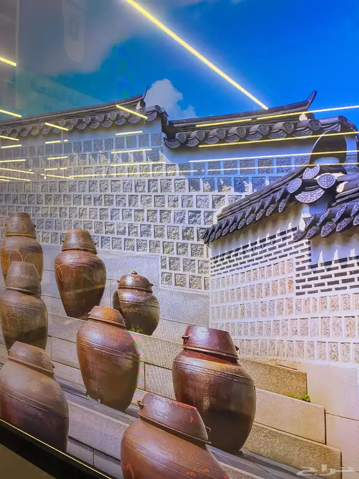 حماية شاشة جميع الأحجام 5