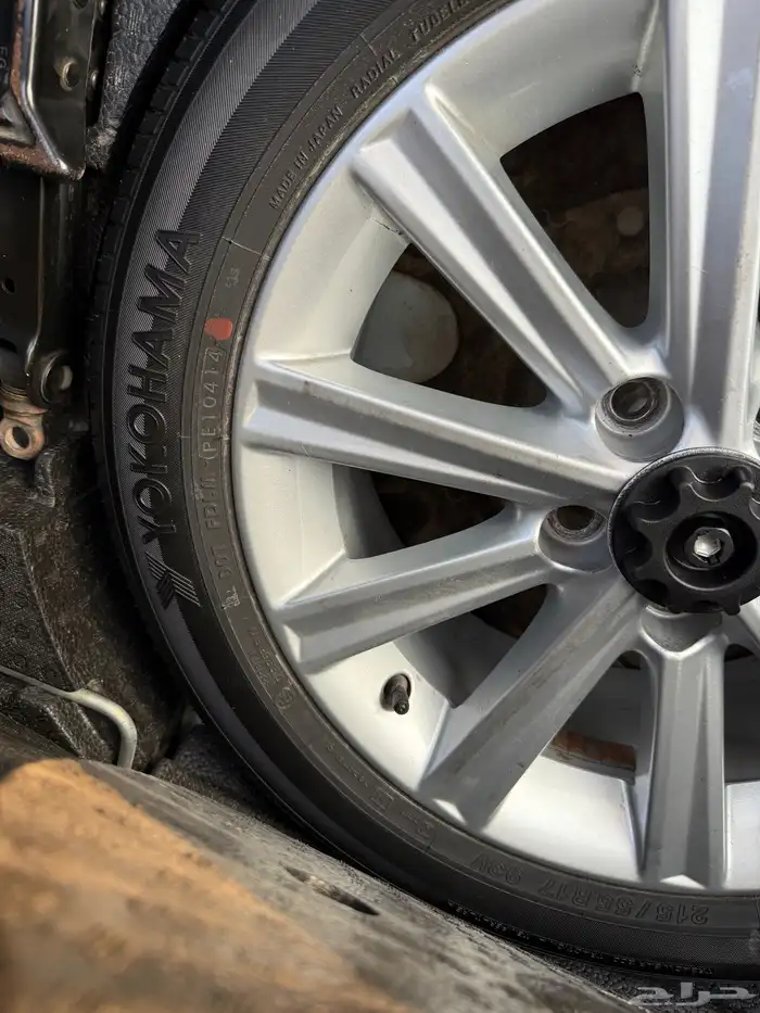 أورين قراندي 2015 11