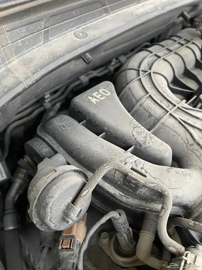 كيا كادينزا 2018 شبه الاصفار 84