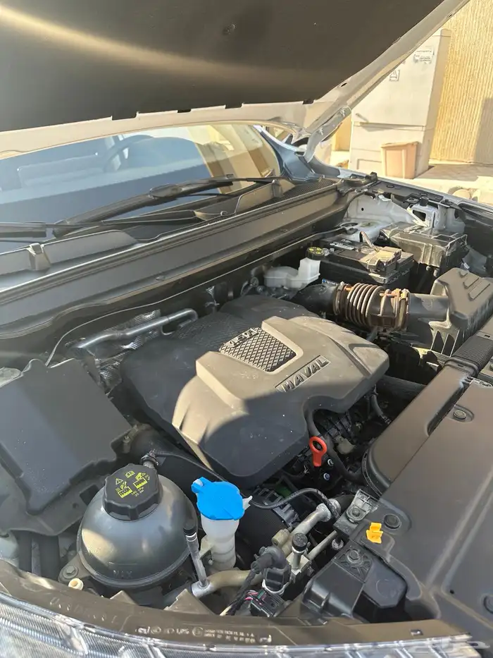 هافال جوليون 2025 15