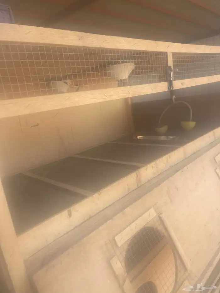 فقاسه 1056 بيضه فل تماتيك   حضانه 4