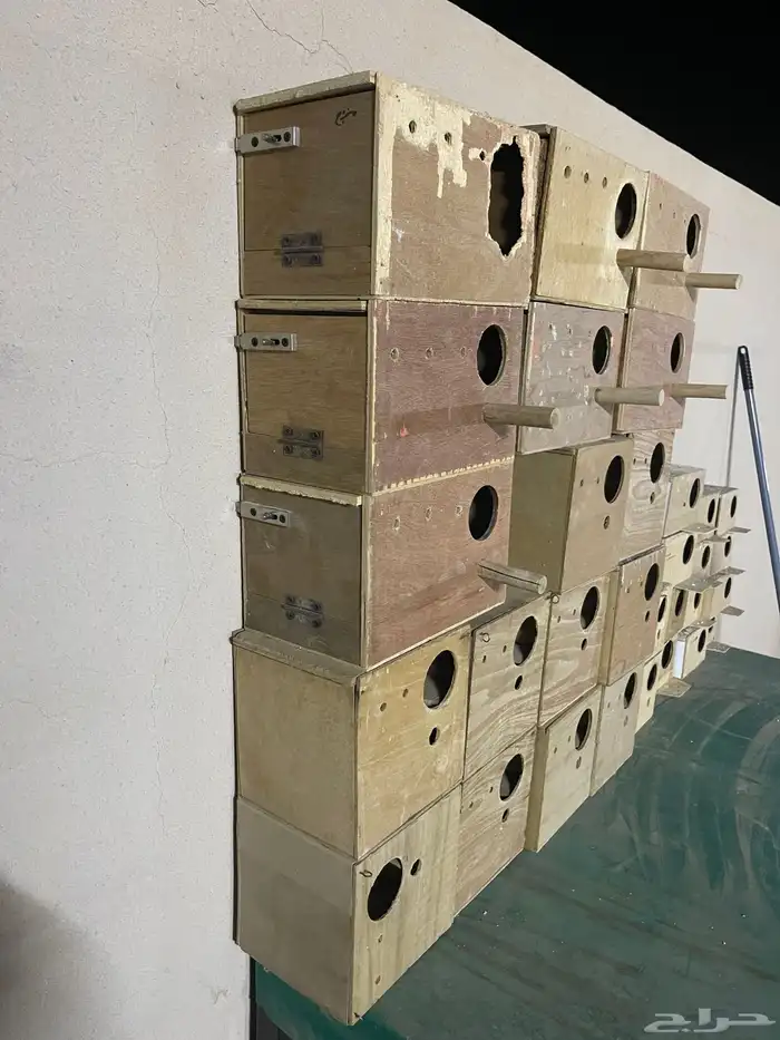 للبيع عشش واقفاص 1