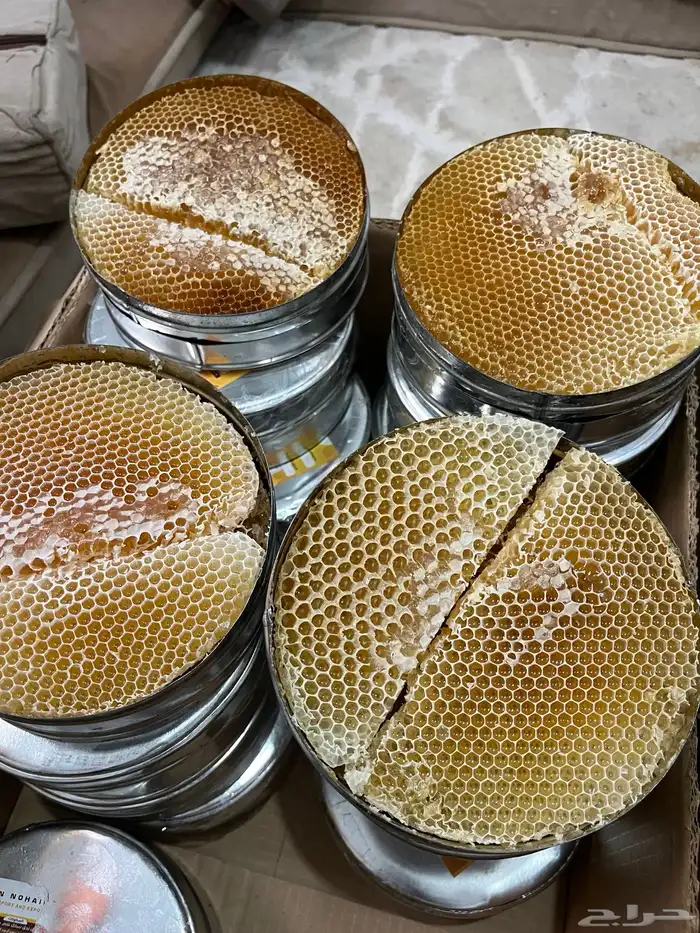 عسل سدر شبواني 3