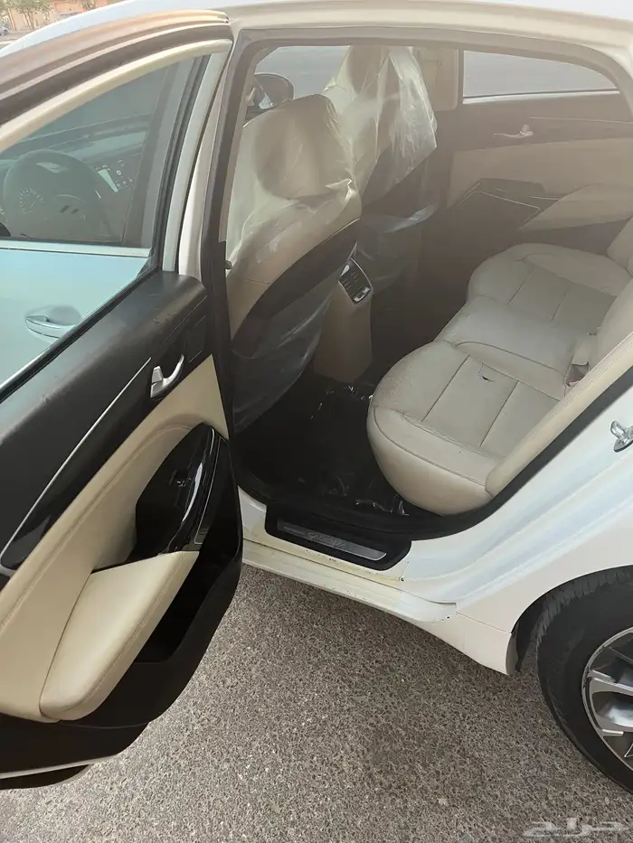 كادينزا فل 2017 14