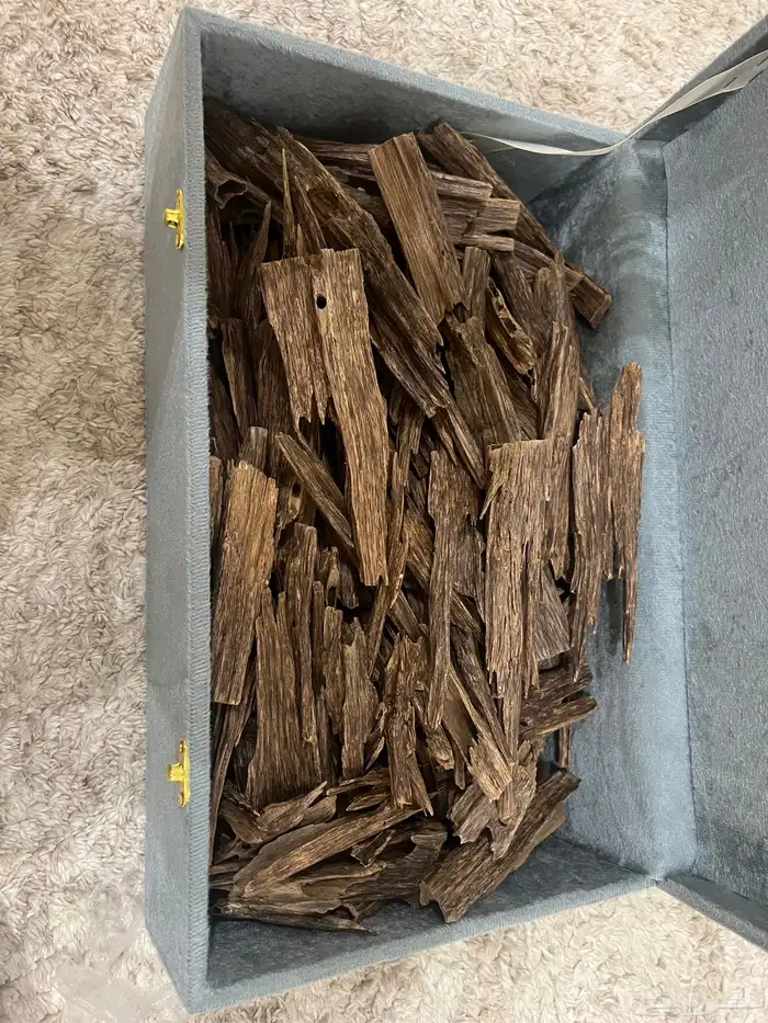 عود طبيعي هندي اسيوفي 2