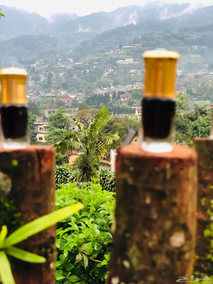 عشاق دهن العود الطبيعي المعتق 0