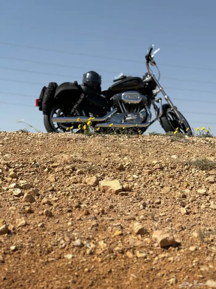 Harley Sportster 883 هارلي سبورتستر 2