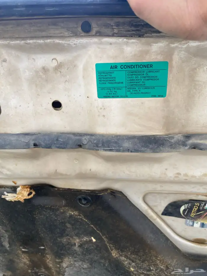 البيع نفار مديل12 ماشي 300 وشوي 1