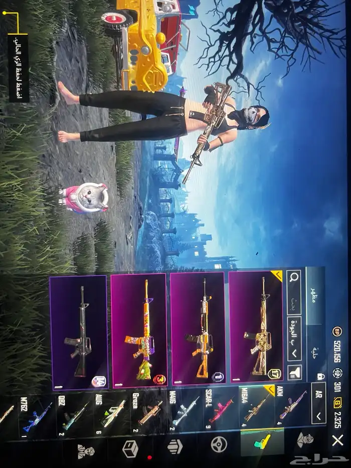 حساب ببجي للبيع 14