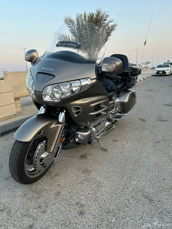 جولد وينج 2008 1