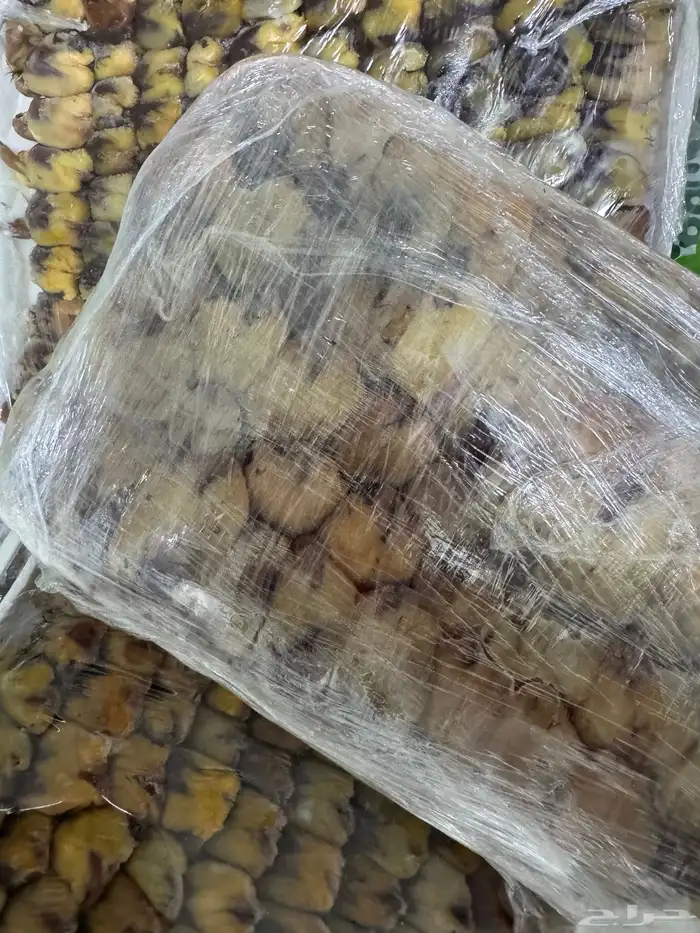 بقلاوه شيوخ 1