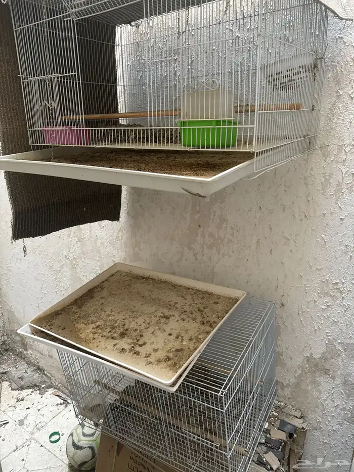 حضانه واقفاص 0