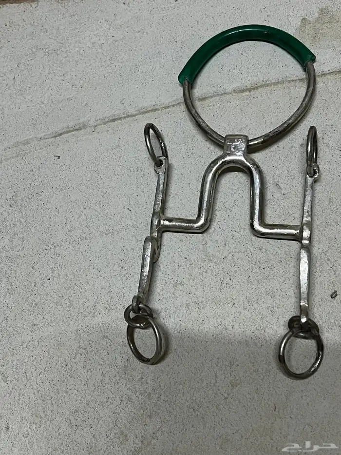 شكيمة مصريه 0