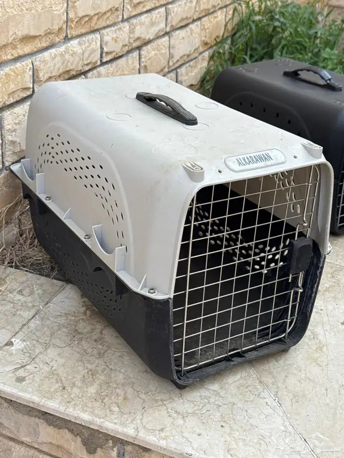 صندوق نقل قطط قطة قفص 2